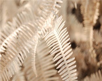 空氣改善需要靠污染源才能進行轉(zhuǎn)移，這個真不能這樣下結(jié)論