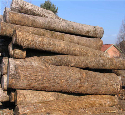 怎么樣才能打造出精致的木制托盤，以下這些是重點(diǎn)